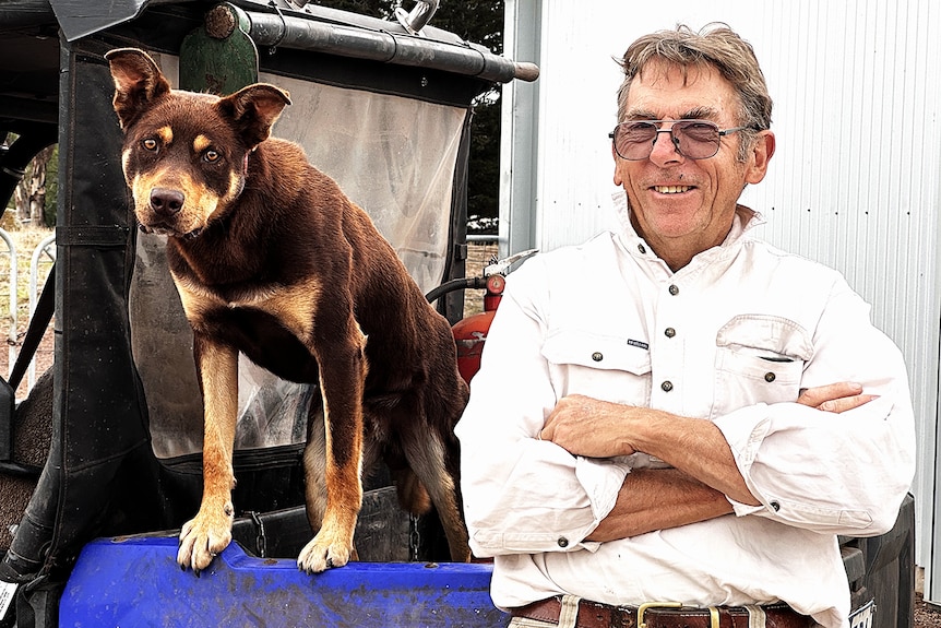 A man leaning against a car with a working kelpie.