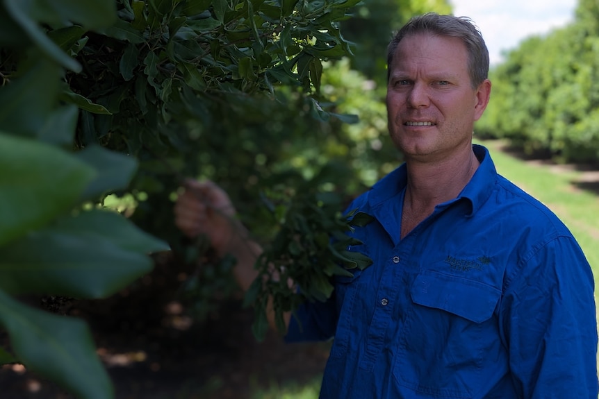 A man stands near green trees in a paddock