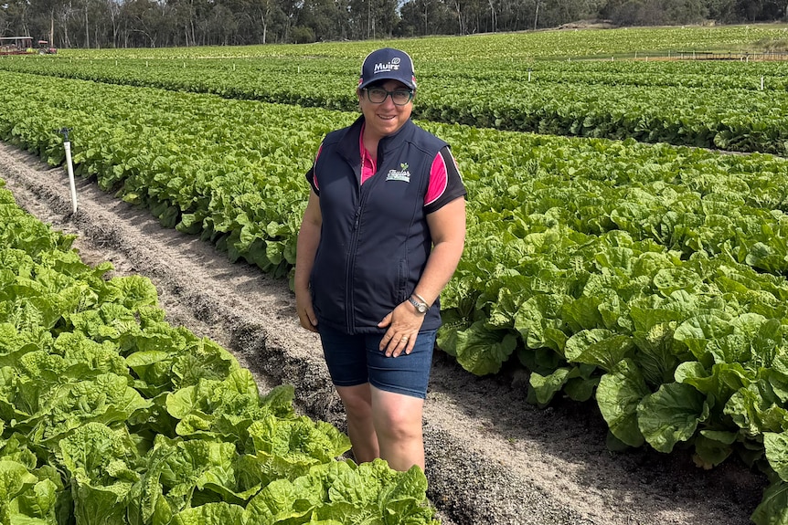 A woman stands amidst a crop.