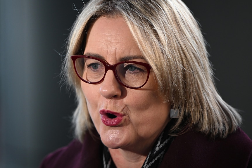 A close up of Jactina Allan speaking at a media event.