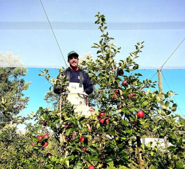 David is a fourth-generation apple farmer. 