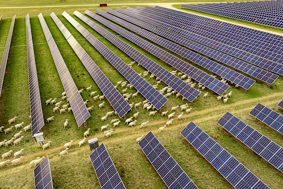  Darlington Point solar farm, near Wagga Wagga.