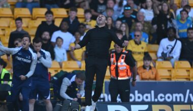 Tottenham defeat Wolves, West Ham vs Everton, relegation battle, ladder, Arsenal top, video, highlights