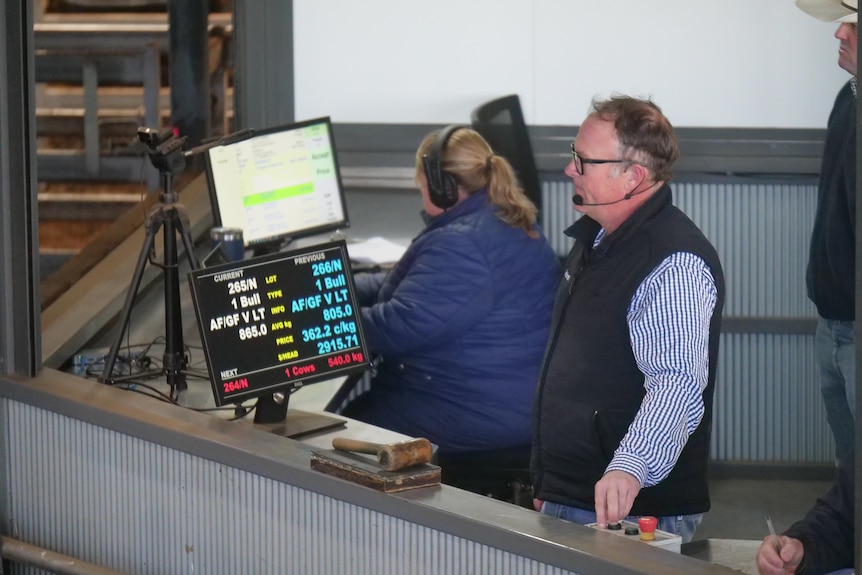 A man in a headset mic stands selling cattle
