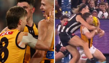 AFL drama as Hawks snatch draw after siren
