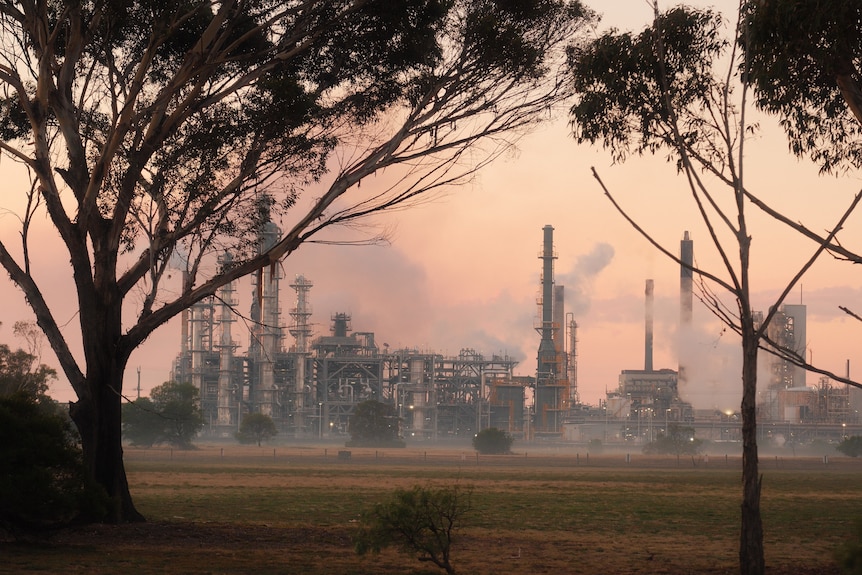 Daytime image of smoke at a refinery.