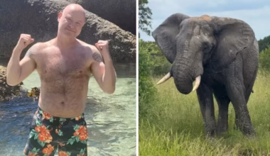 Sad twist emerges after man is trampled to death by elephant