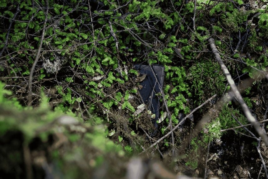 A black mobile phone can be partially seen sticking out of mossy undergrowth and dirt