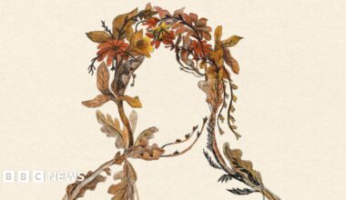 Artist impression showing the sculpture which has leaves in the shape of an outline of a face