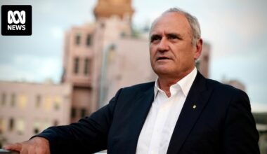 Former Treasury boss says Australians left with little to show from commodities boom