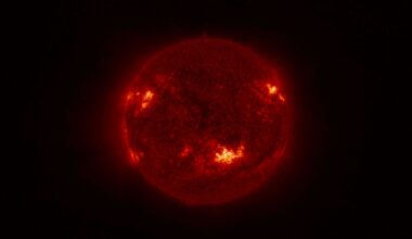 A fiery red ball against a black background.
