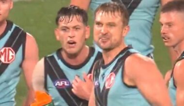 Reactions to Zak Butters abusive language to umpire Nick Foot, placed on report, Tribunal case, AFL 360, On the Couch, latest news