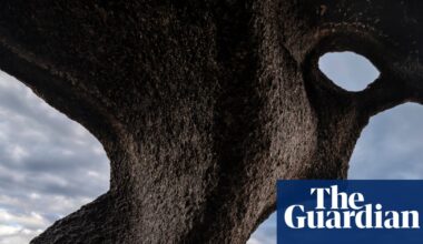 ‘I want people to see nature as a wondrous work of art’: Jon McCormack’s best phone picture | Photography