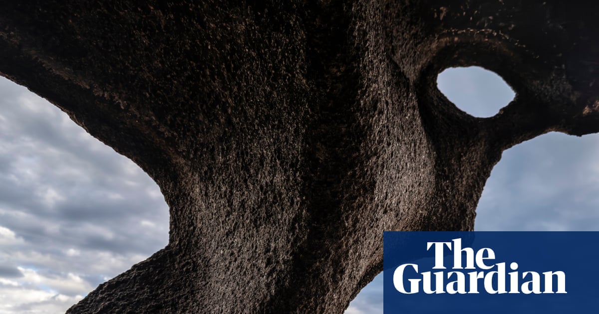 ‘I want people to see nature as a wondrous work of art’: Jon McCormack’s best phone picture | Photography