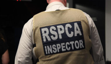 Perth therapist accused of beating client’s dog