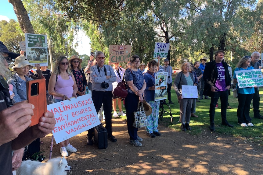 A group of protesters hold signs calling on the government not to chop down almost 600 trees