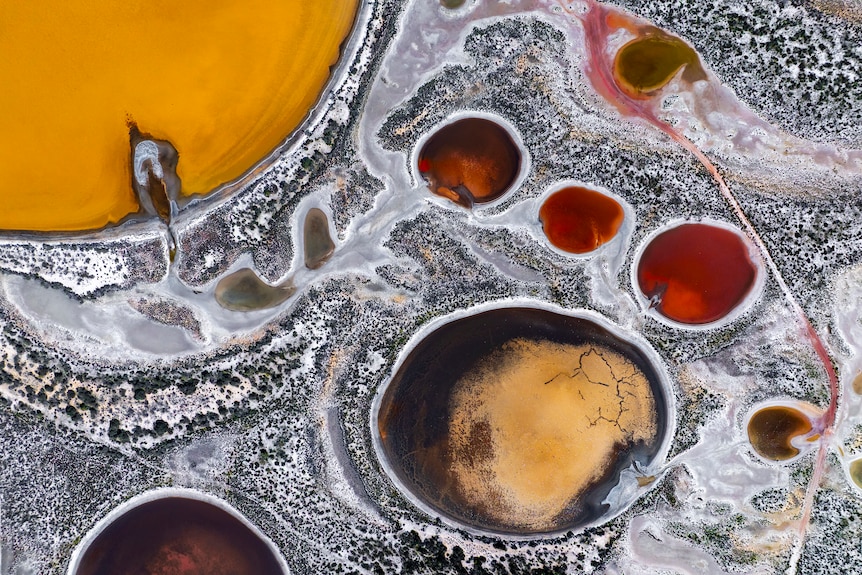 Aerial image of orange, yellow and pink salt lates surrounded by scrub land