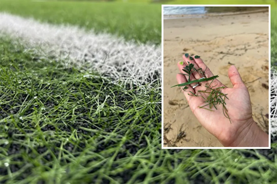 Background: Close up of synthetic turf. Inset: A hand on a beach holding fragments of synthetic turf.