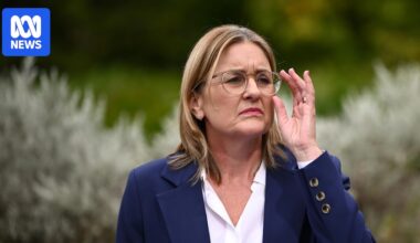 Victorian political donations website goes dark after High Court struck out election law