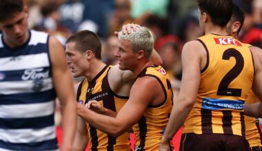 AFL round 4 Hawthorn v Geelong: Live updates, scores and news