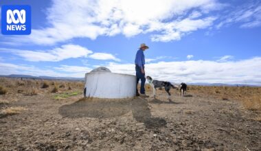 Southern Queensland farmers take pre-emptive action as dry spell stretches on