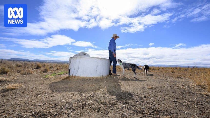 Southern Queensland farmers take pre-emptive action as dry spell stretches on