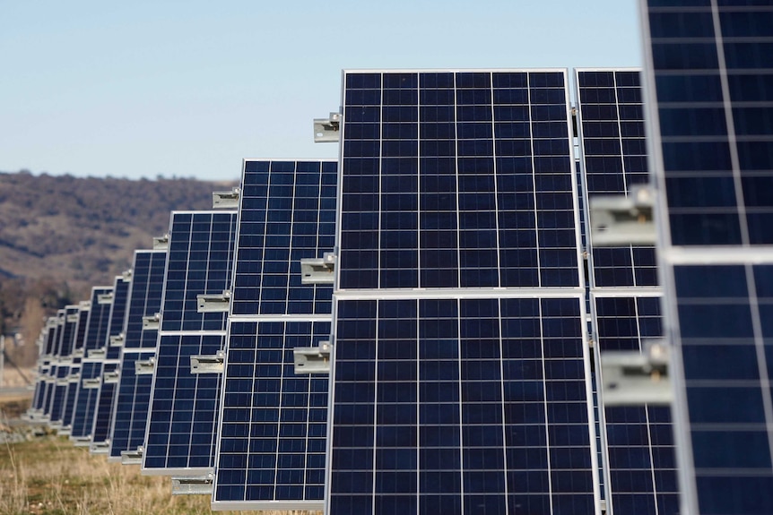 Many upright solar panels lined up in a row in a rural setting.