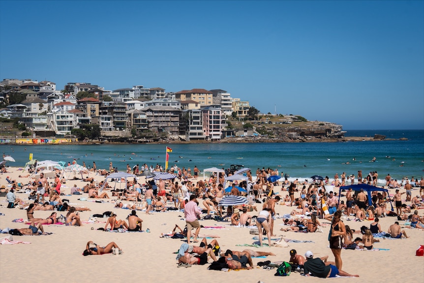 A large number of people at Bondi Beach sunbathing and mingling on a hot sunny day.