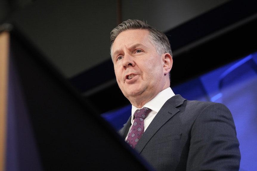 Mark Butler speaks at National Press Club. 