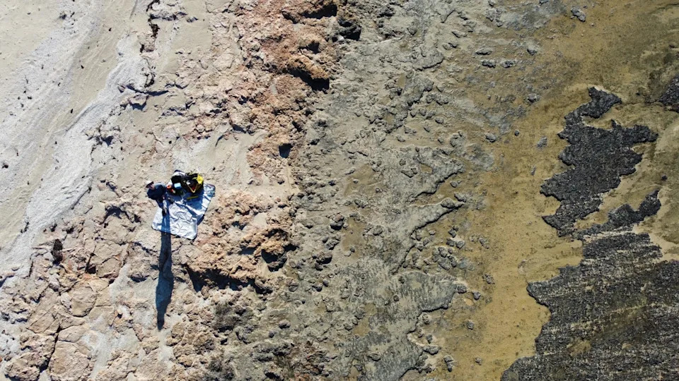 A drone shot of researchers scouring the Shark Bay coastline for microbes.