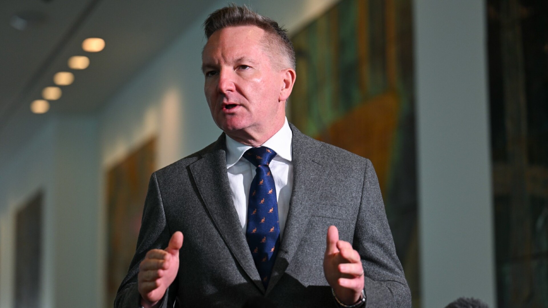 Chris Bowen urged not to go down same path as Europeans with renewable energy