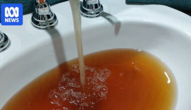 Narrandera residents fed up with murky tap water
