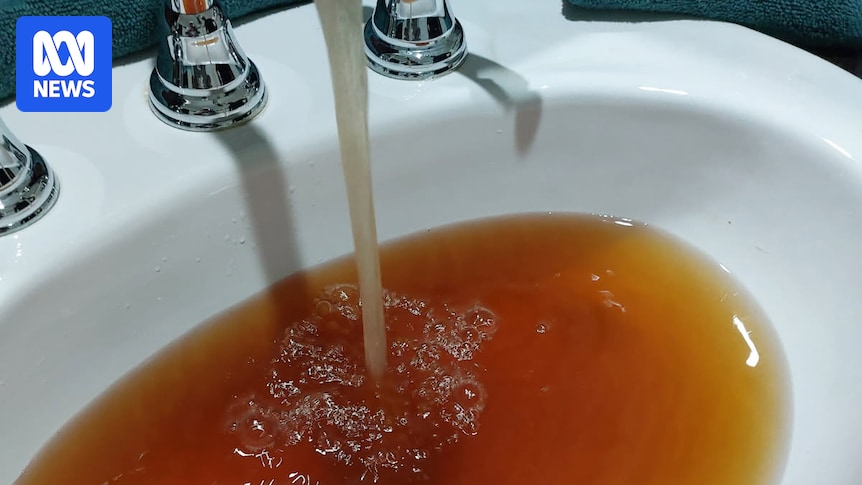 Narrandera residents fed up with murky tap water