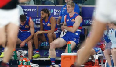 The full AFL injury list, R5