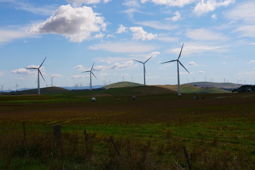 Wind turbines over the rolling hills.