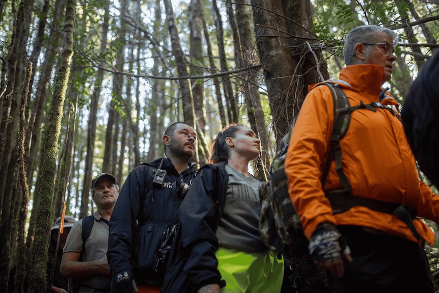 A low angle of a row of four people, three men one woman, standing with backpacks on surrounded by tall trees