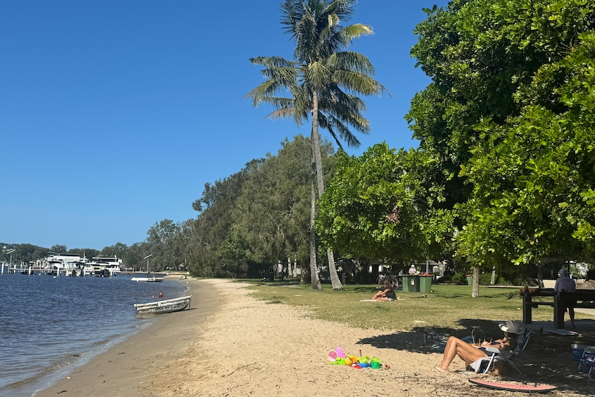 A woman sitting on a beach chair under a tree in front of water