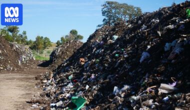 South West locals say funding, education keys to fixing troubled three-bin waste system