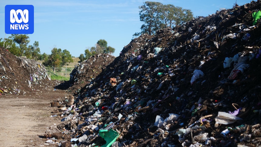 South West locals say funding, education keys to fixing troubled three-bin waste system