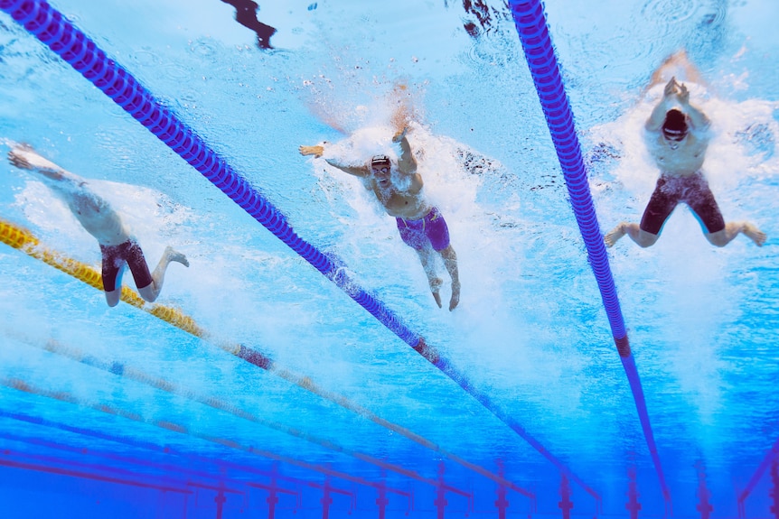 Breaststrokers swim as seen under water