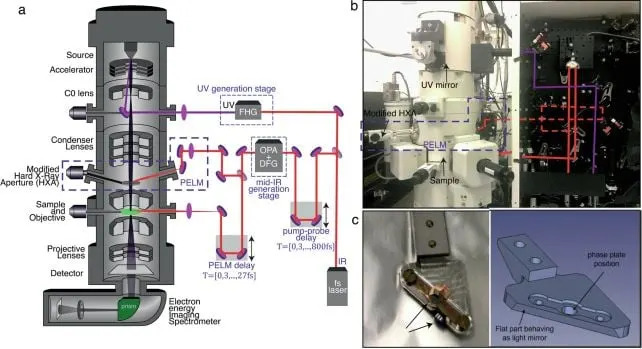 The apparatus used to generate and record the optical vortices. (Kaminer et al., <a href="https://doi.org/10.1038/s41586-026-10209-z" rel="nofollow noopener" target="_blank" data-ylk="slk:Nature;elm:context_link;itc:0;sec:content-canvas" data-yga="{"yLinkElement":"context_link","yModuleName":"content-canvas","yLinkText":"Nature"}" class="link "><em>Nature</em></a>, 2026)