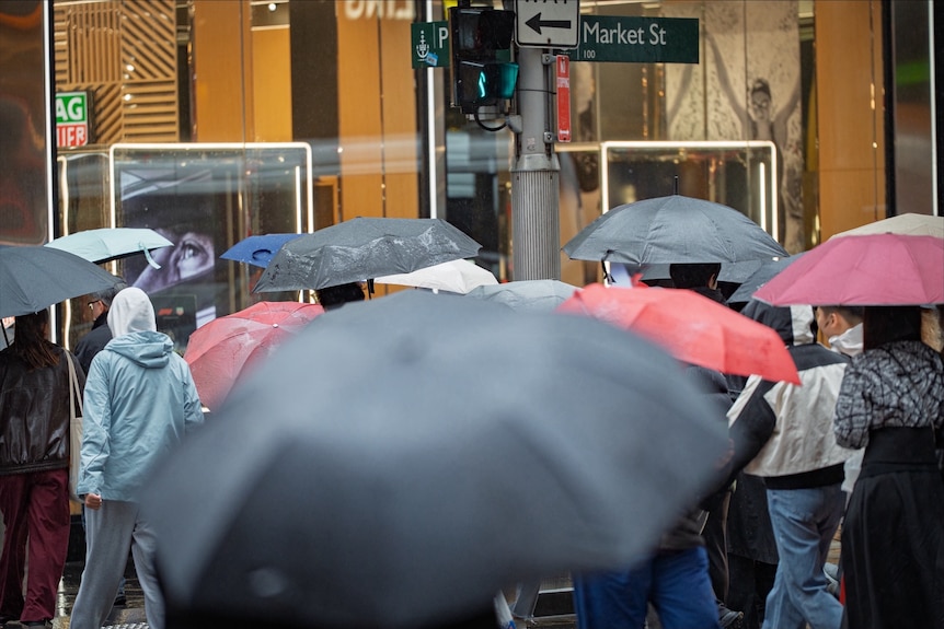 People holding umbrellas as it rains on a Sydney street.