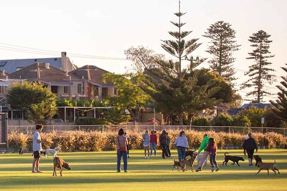 Virginia Ryan Park in Fremantle with dog owners gathering. 