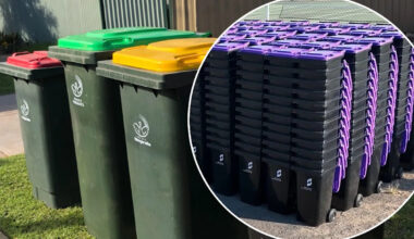 Aussie councils revolt against 'costly' recycling bin change impacting millions: 'Makes no sense'