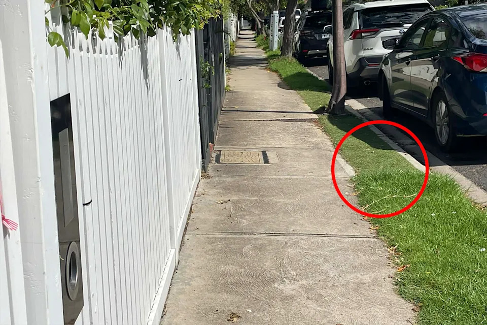 A nature strip in Melbourne's inner west has been replaced with synthetic turf.