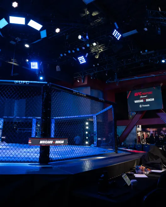 UFC Fight Night 272, Meta APEX