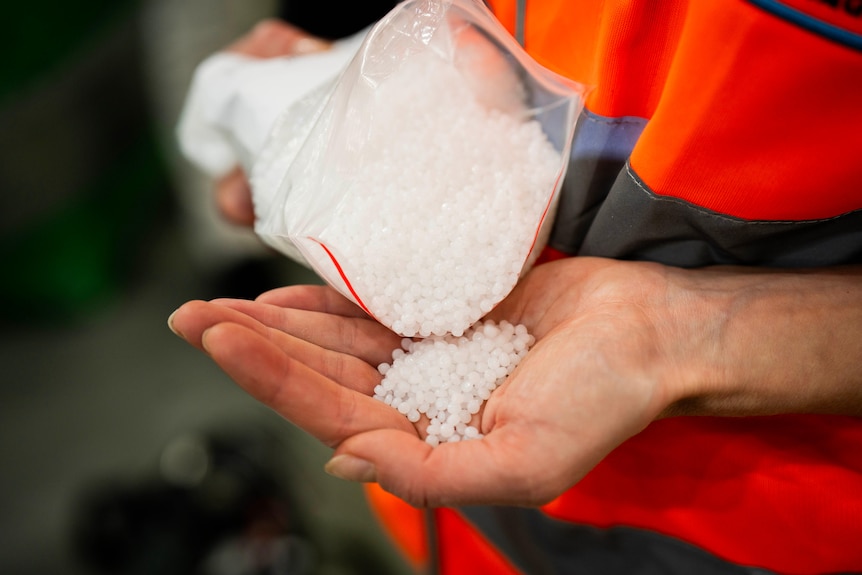 White resin beads in a man's hand and in clear plastic bag.