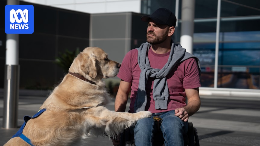 Wheelchair user calls for 'common sense' after fine threat for using accessible zone without permit