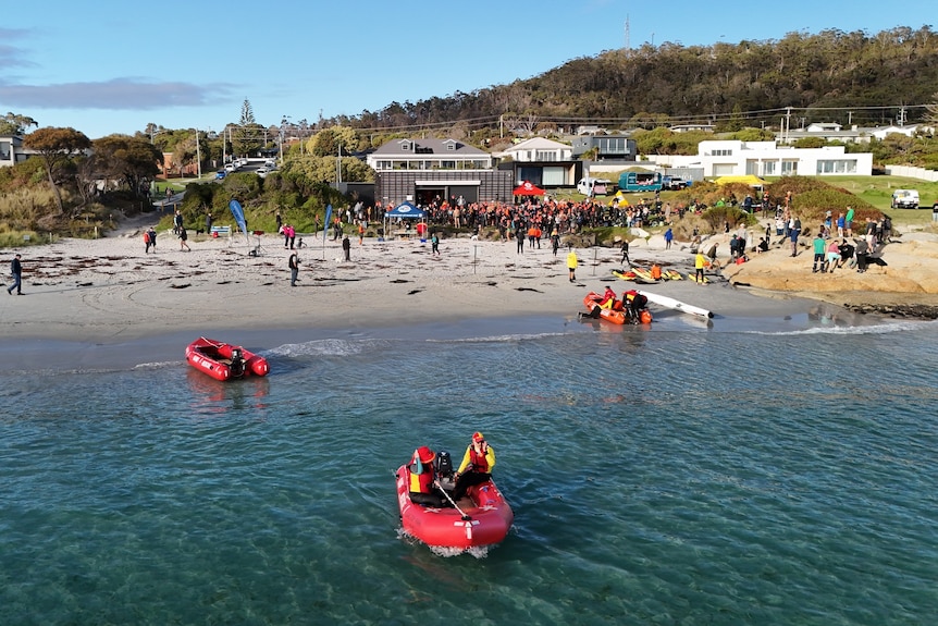 red boats in the water with hundreds of swimmers in the background and green hills