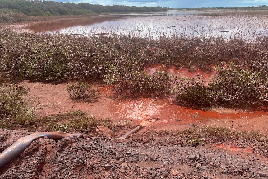 A hose spraying orange liquid into a wider water source outdoors